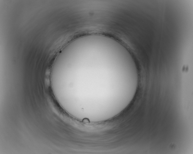 X0000113280022200909140951