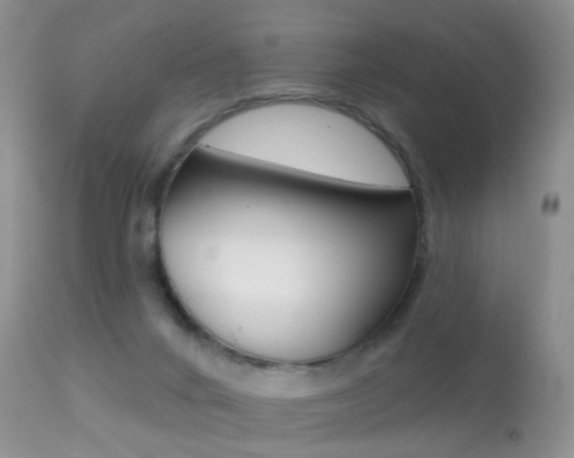 X0000113280024200909140951