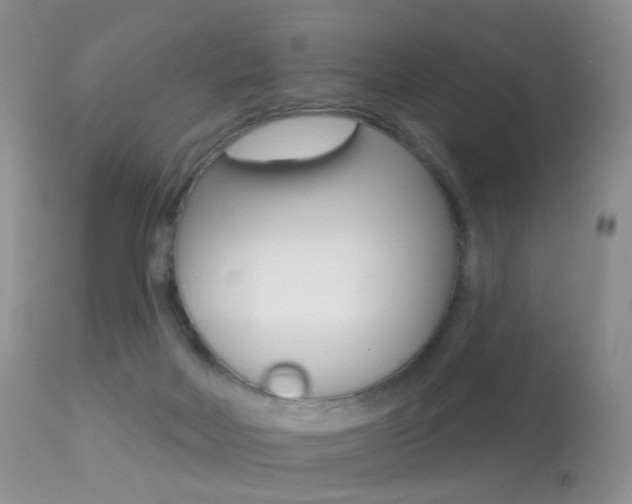 X0000113280026200909140951