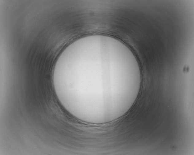 X0000113280027200909140951