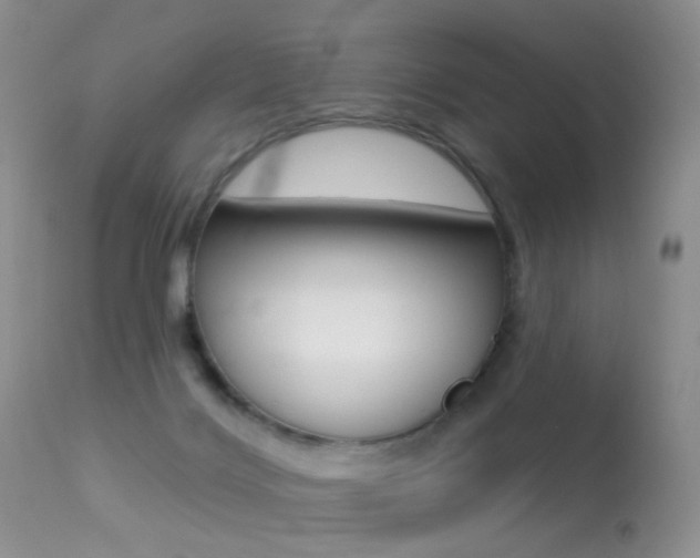 X0000113280028200909140951