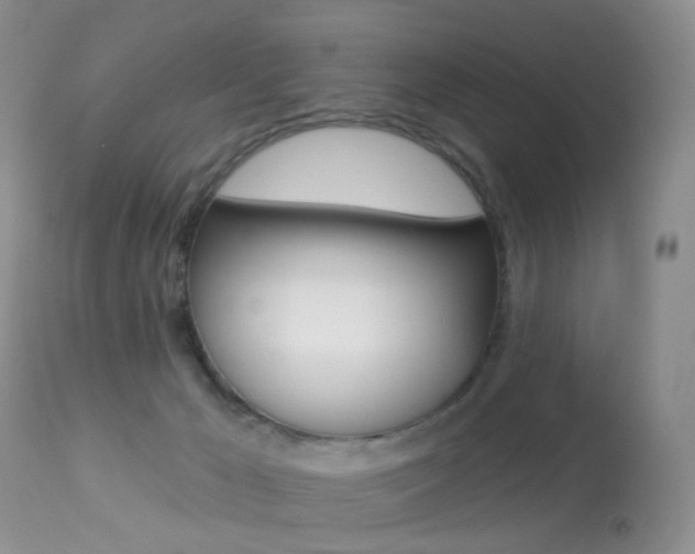 X0000113280029200909140951