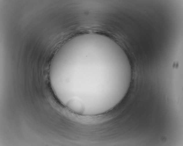 X0000113280030200909140951