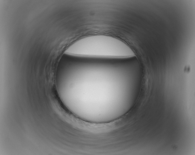 X0000113280031200909140951