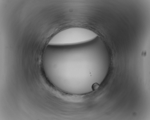 X0000113280032200909140951