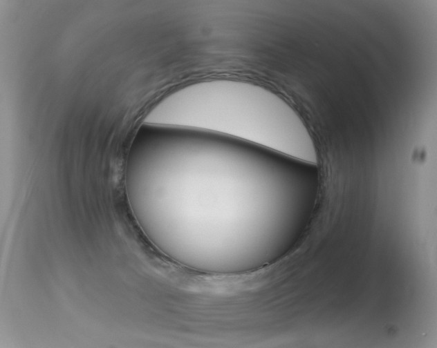 X0000113280033200909140951