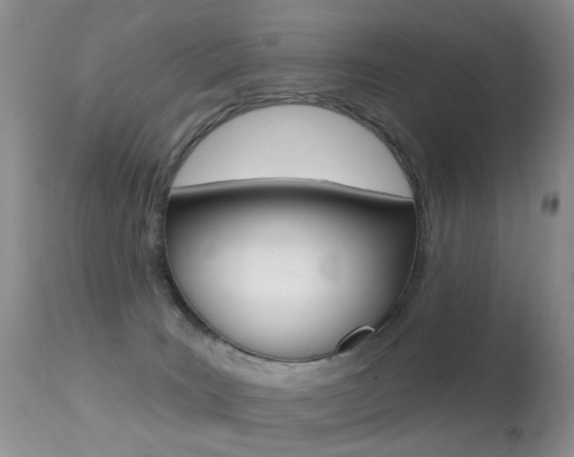 X0000113280035200909140951