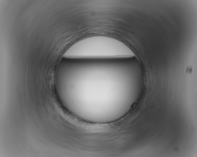 X0000113280036200909140951