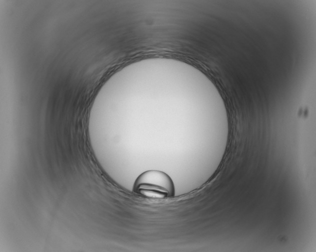 X0000113280037200909140951