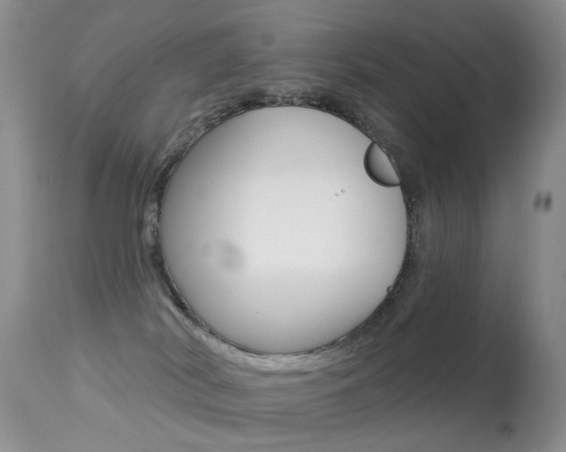 X0000113280038200909140951