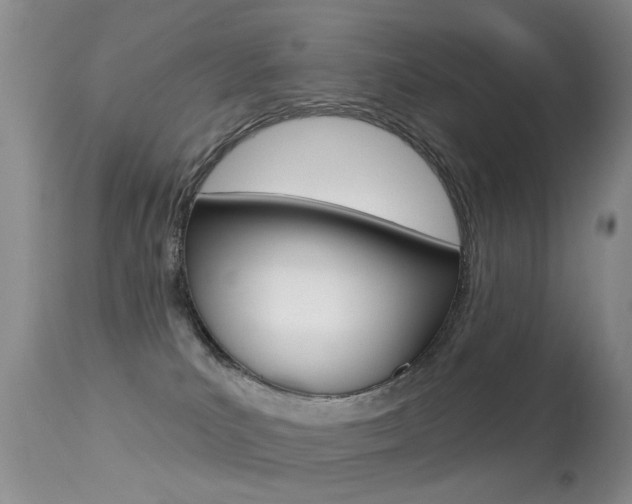 X0000113280039200909140951