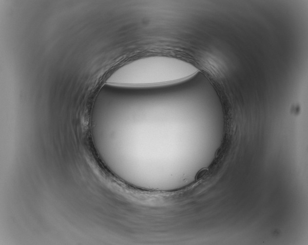 X0000113280040200909140951