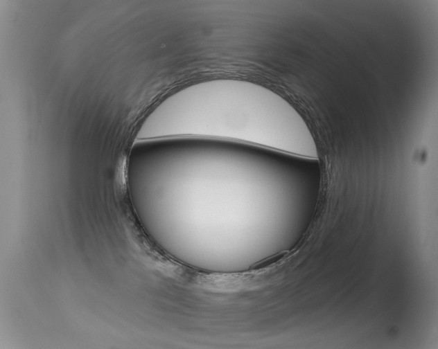 X0000113280041200909140951