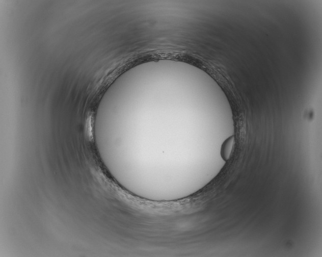 X0000113280042200909140951