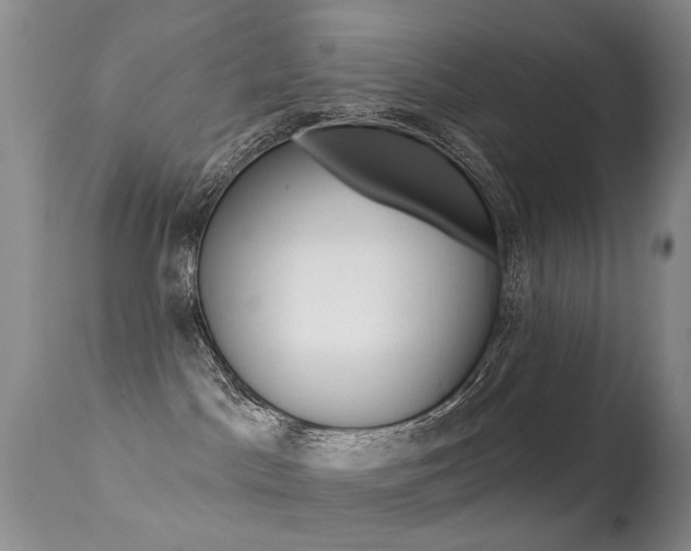 X0000113280045200909140951