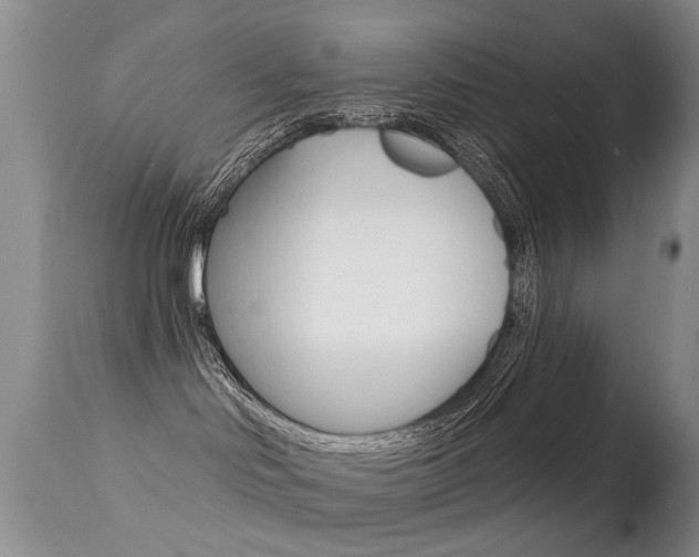 X0000113280046200909140951