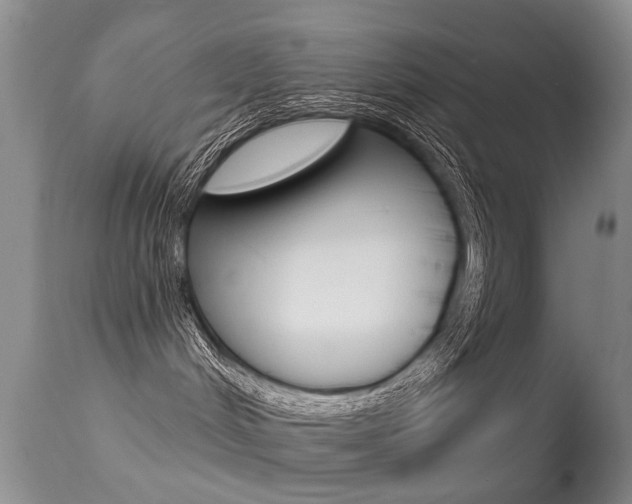 X0000113280048200909140951