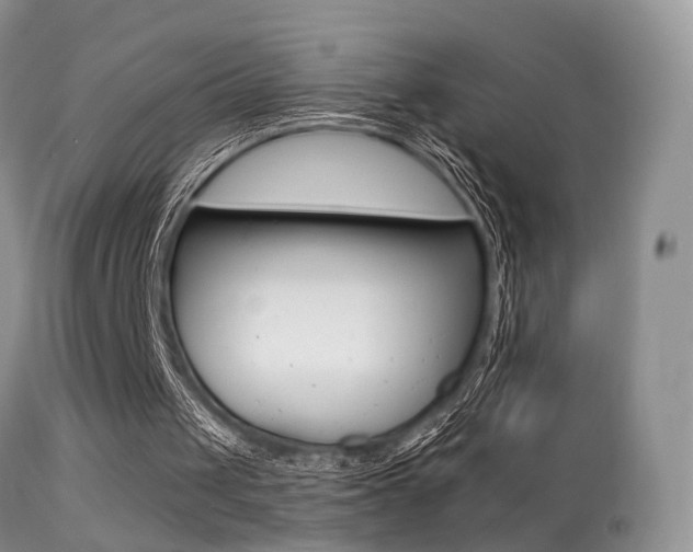 X0000113280049200909140950