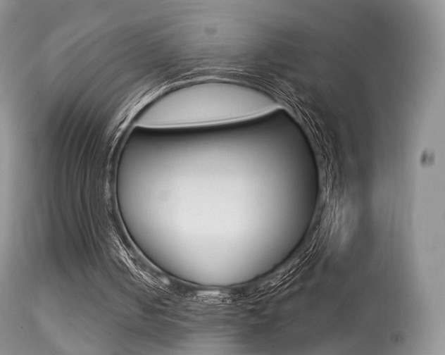 X0000113280050200909140950