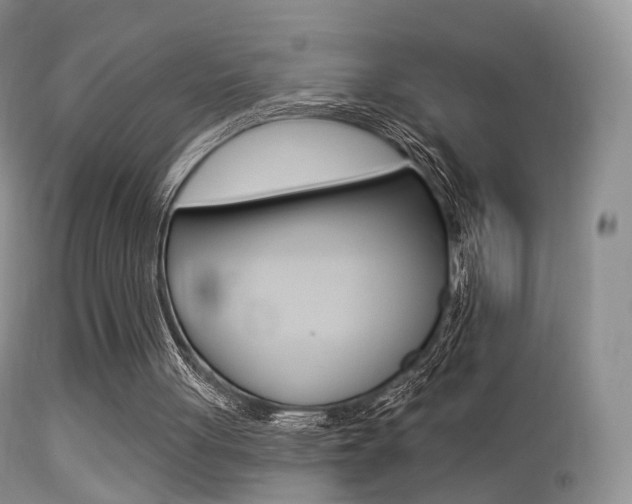 X0000113280051200909140950