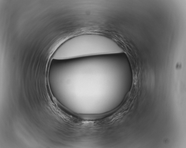 X0000113280052200909140950