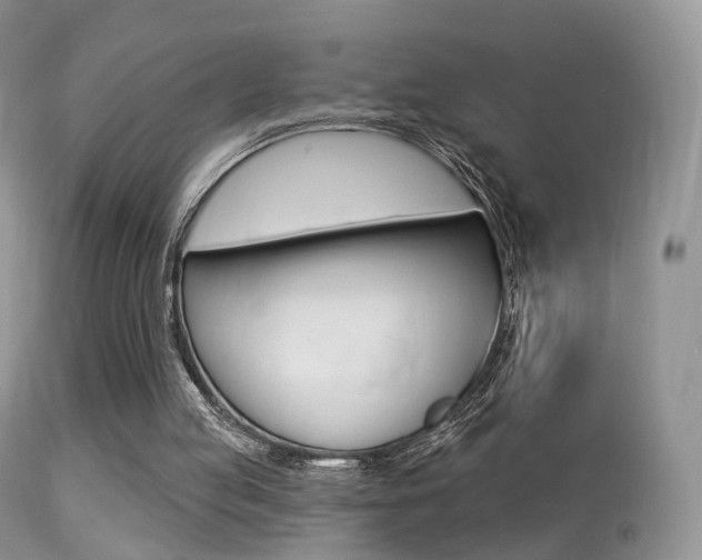 X0000113280053200909140950