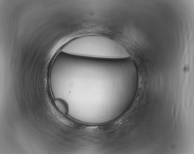 X0000113280054200909140950