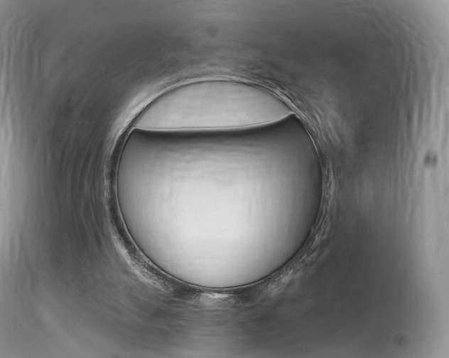 X0000113280055200909140950