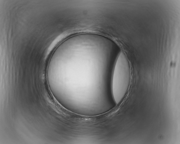 X0000113280056200909140950