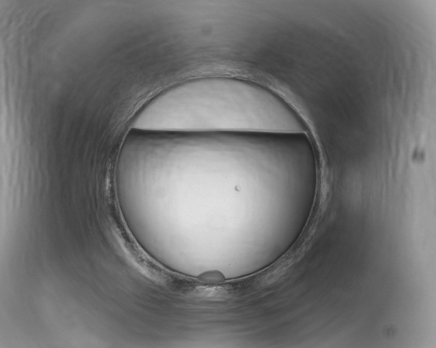 X0000113280057200909140950