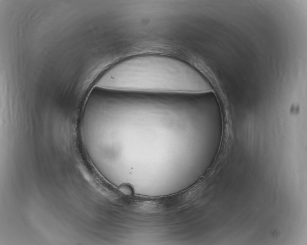 X0000113280058200909140950