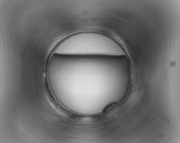 X0000113280059200909140950