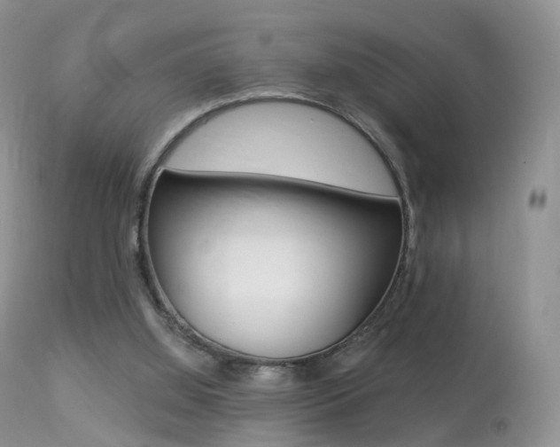 X0000113280060200909140950