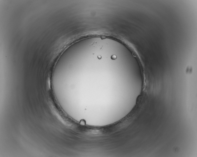 X0000113280061200909140950