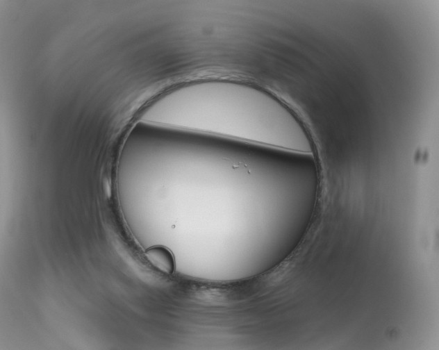 X0000113280062200909140951