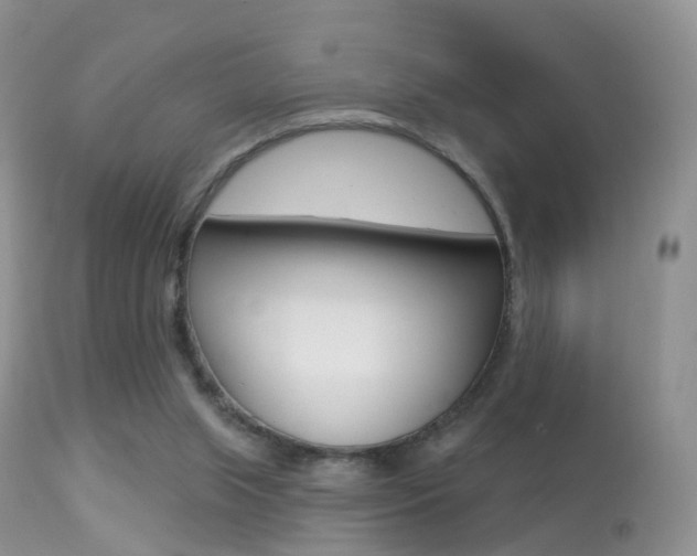 X0000113280063200909140951