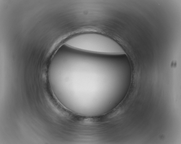 X0000113280064200909140951