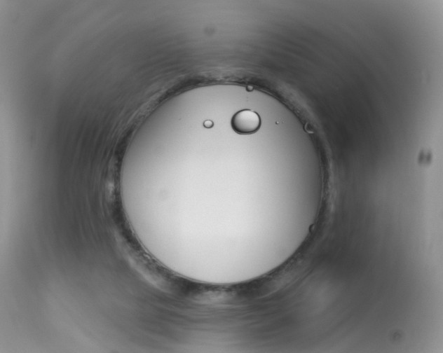 X0000113280065200909140951