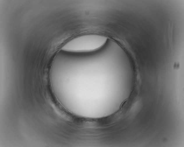 X0000113280066200909140951