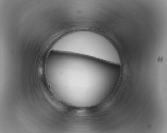 X0000113280068200909140951