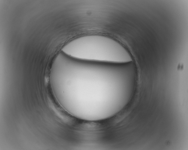 X0000113280069200909140951