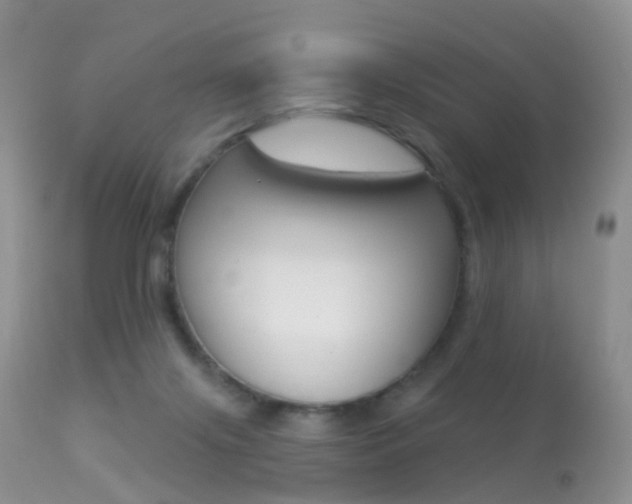 X0000113280071200909140951