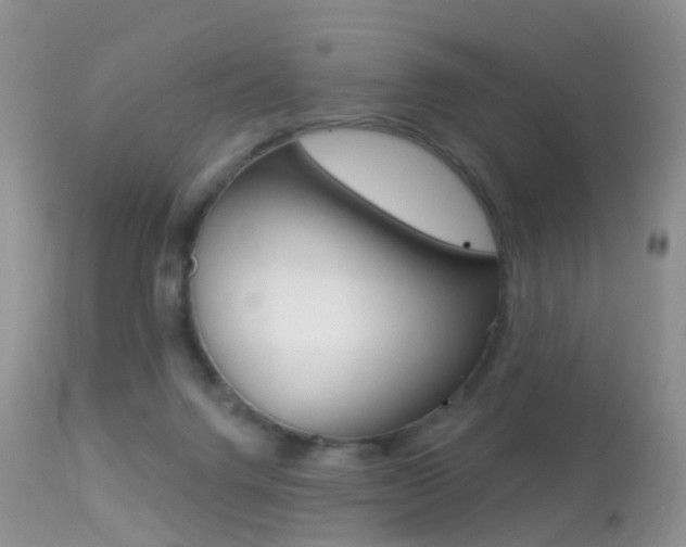 X0000113280072200909140951