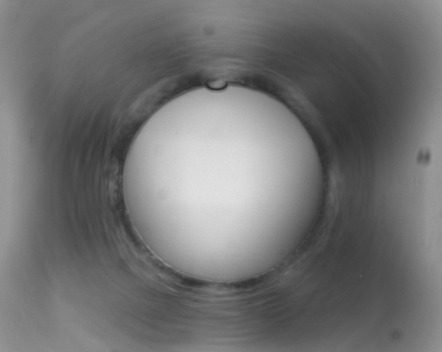 X0000113280073200909140951