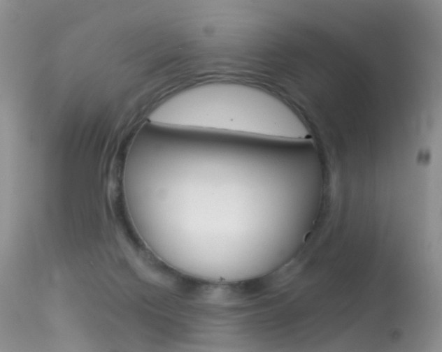 X0000113280074200909140951