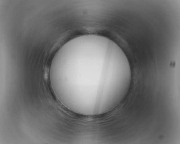 X0000113280075200909140951