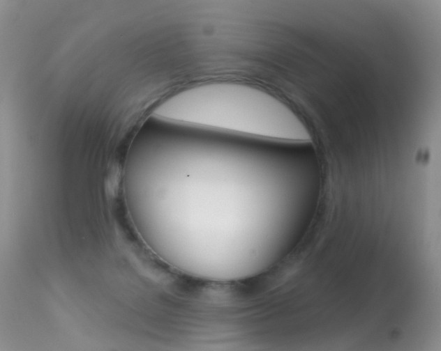 X0000113280076200909140951