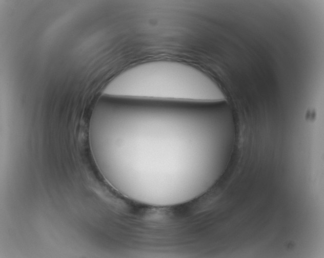 X0000113280077200909140951