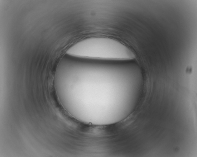 X0000113280078200909140951