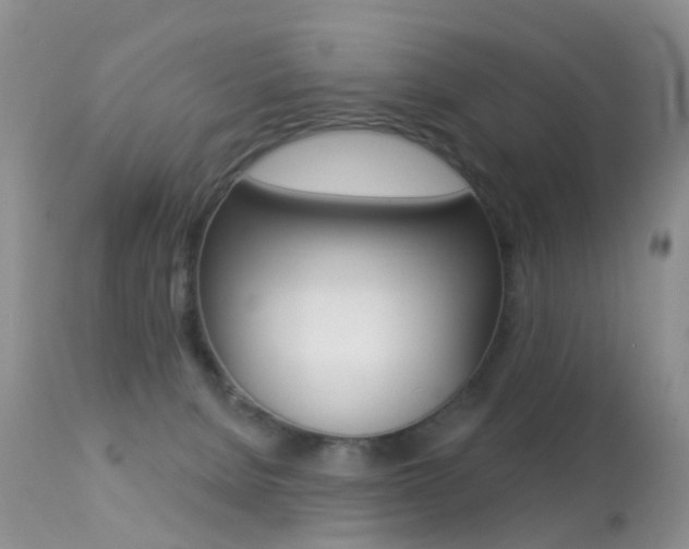 X0000113280080200909140951